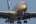 Airbus A380-861